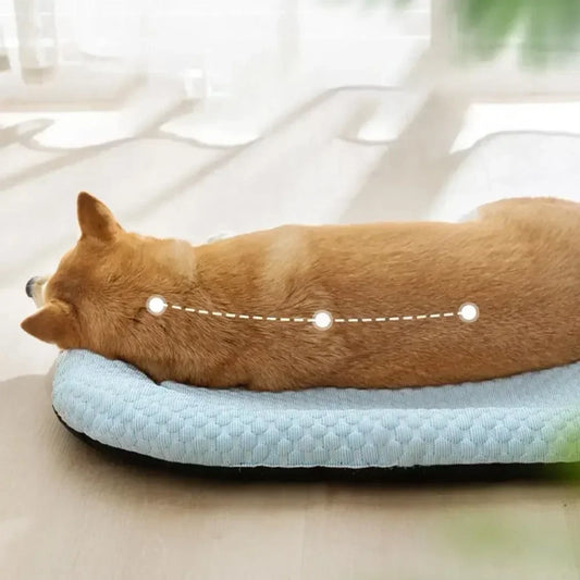 ❄️ Glacéo™ – Lit Rafraîchissant Premium pour Animaux